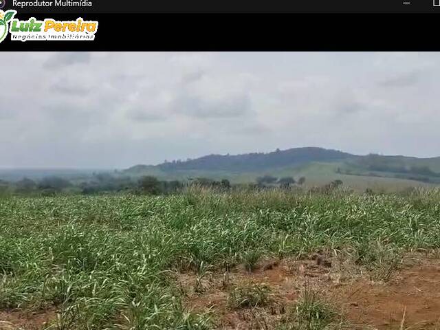 Fazenda para Venda em Ipixuna do Pará - 5