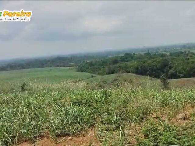 #3270 - Fazenda para Venda em Ipixuna do Pará - PA - 3