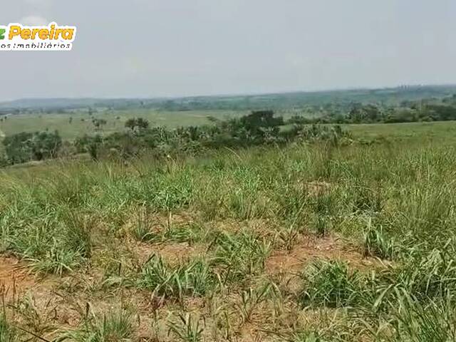 #3270 - Fazenda para Venda em Ipixuna do Pará - PA - 2