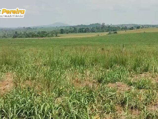 Fazenda para Venda em Ipixuna do Pará - 4
