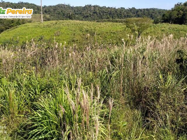 Fazenda para Venda em Jacundá - 2