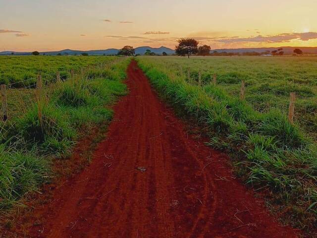 Venda em Pescadores - Conceição do Araguaia