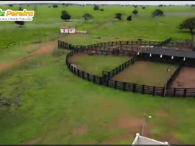 Fazenda para Venda em Conceição do Araguaia - 4