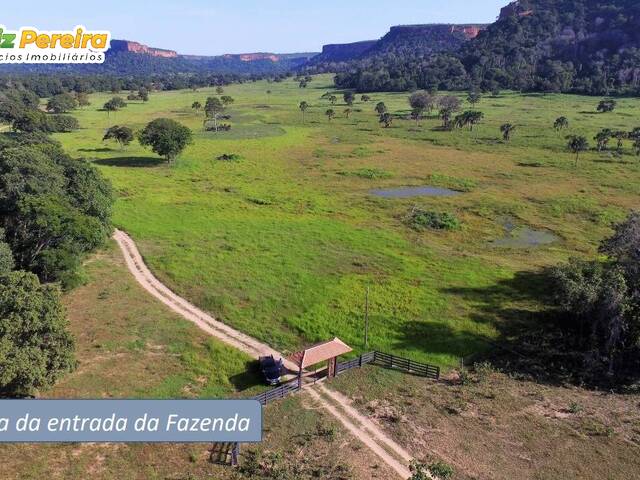 #3273 - Fazenda para Venda em Pedro Gomes - MS - 2