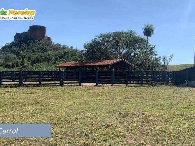 Fazenda para Venda em Pedro Gomes - 5