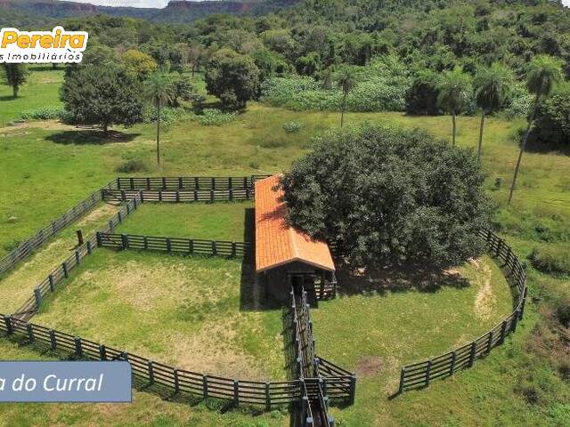 Venda em Stº Antônio - Pedro Gomes