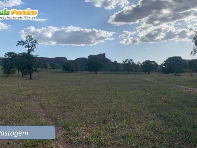 #3273 - Fazenda para Venda em Pedro Gomes - MS - 3