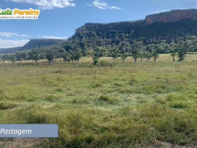 #3273 - Fazenda para Venda em Pedro Gomes - MS