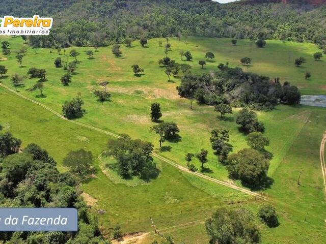#3273 - Fazenda para Venda em Pedro Gomes - MS - 1
