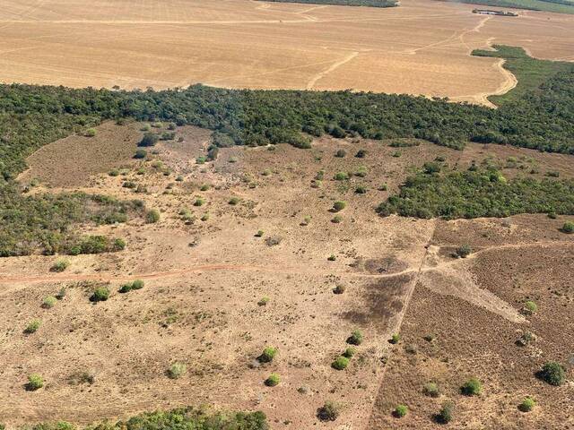 #3275 - Fazenda para Venda em Araguacema - TO - 2