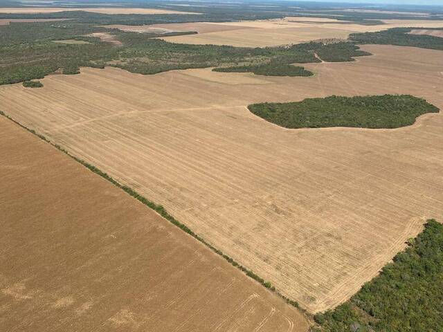 Fazenda para Venda em Araguacema - 4