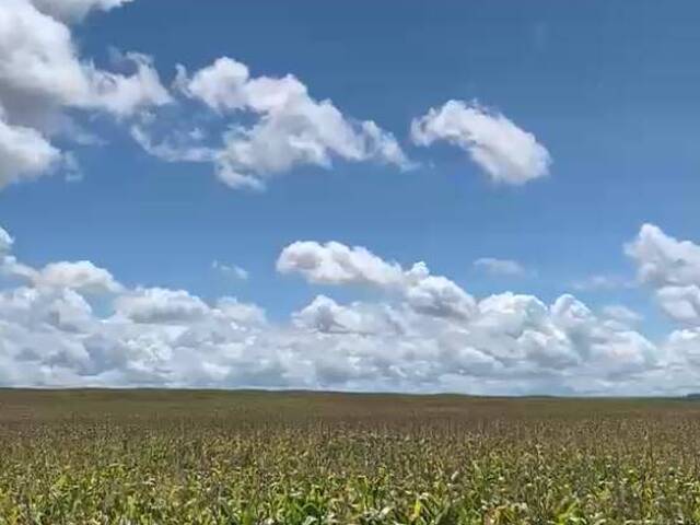 Fazenda para Venda em Buriticupu - 2