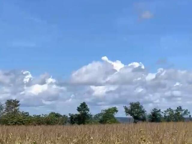 Fazenda para Venda em Buriticupu - 3