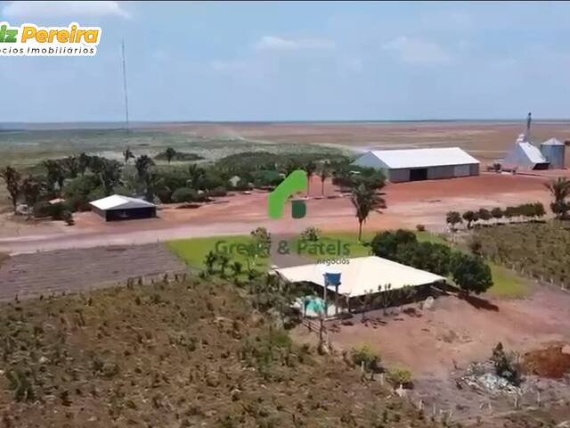  para  em  - 4