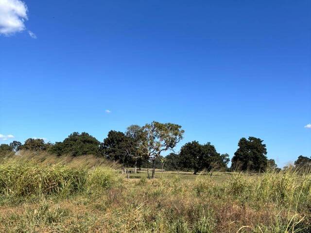 Fazenda para Venda em Coxim - 5