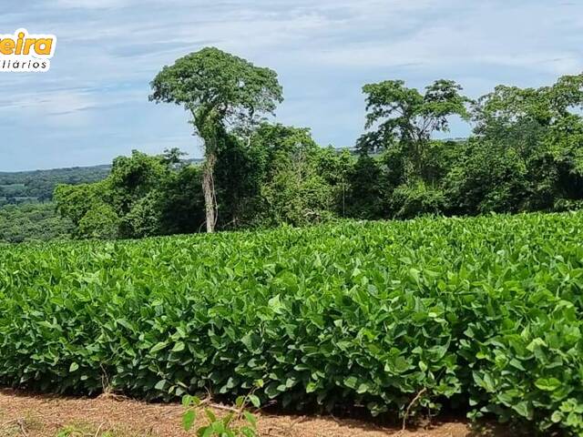 Fazenda para Venda em Pedro Gomes - 4