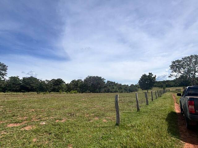 #3268 - Fazenda para Venda em Miranda - MS - 3