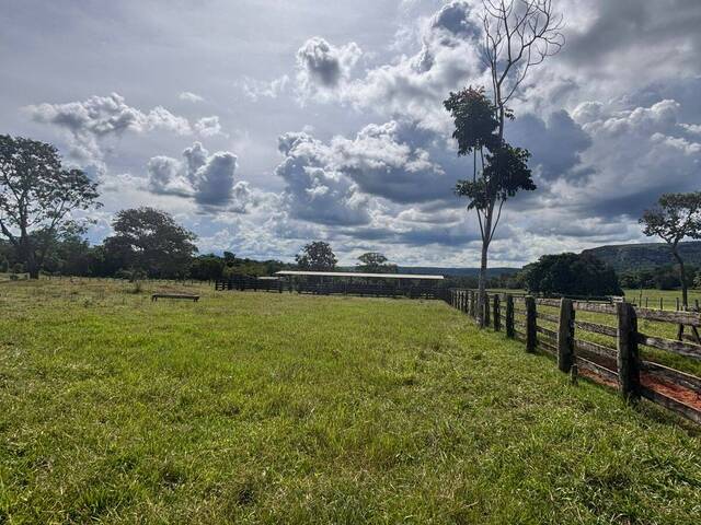 #3268 - Fazenda para Venda em Miranda - MS - 2