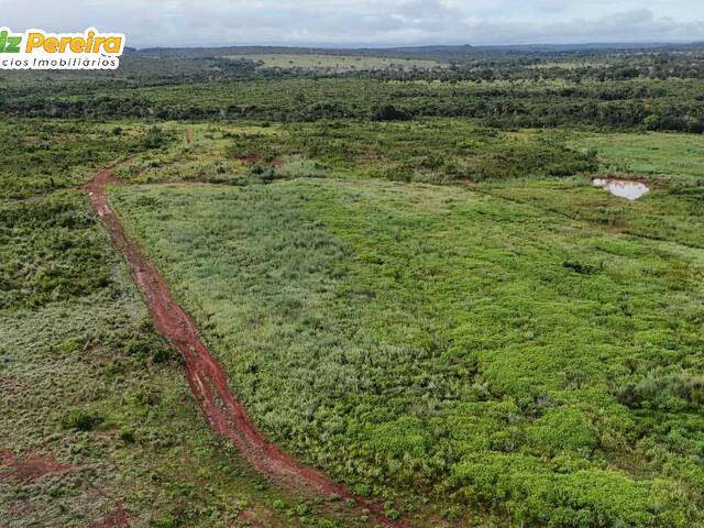 Fazenda para Venda em Babaçulândia - 2