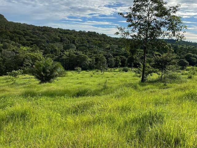 #3280 - Fazenda para Venda em Campinápolis - MT - 2