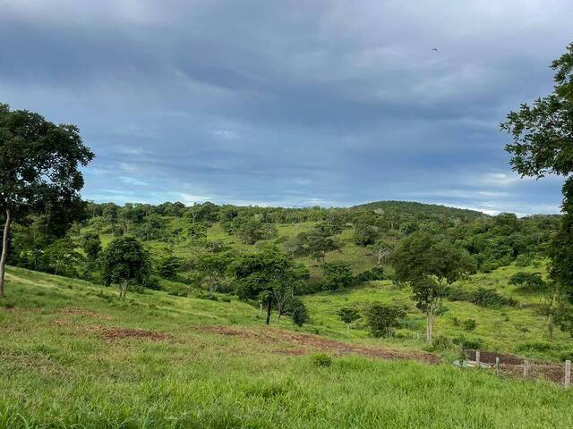 #3280 - Fazenda para Venda em Campinápolis - MT - 3