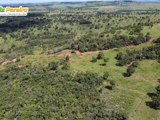 Fazenda para Venda em Campinápolis - 4