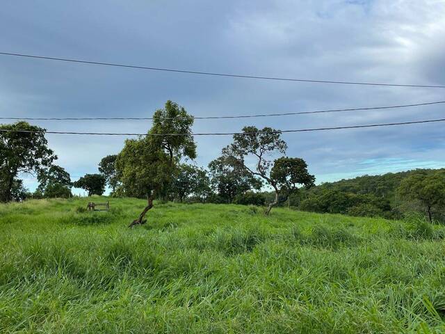 Fazenda para Venda em Campinápolis - 5