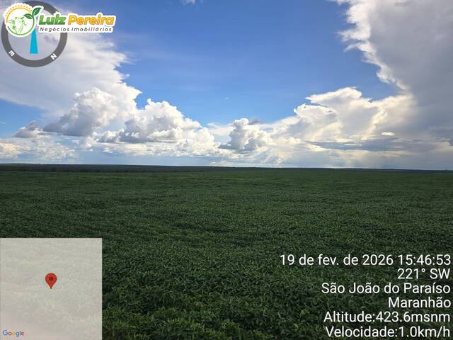 Fazenda para Venda em São João do Paraíso - 4
