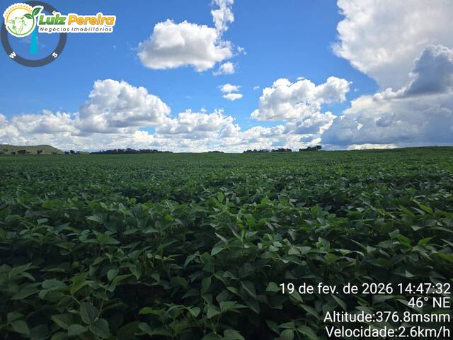 #3301 - Fazenda para Venda em São João do Paraíso - MA - 3