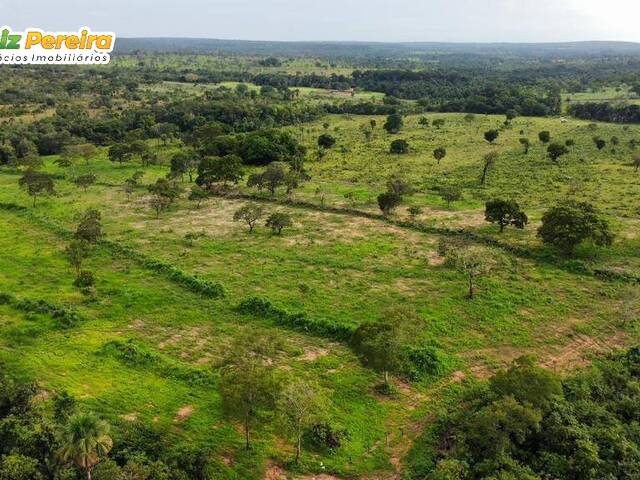 #3282 - Fazenda para Venda em Riachão - MA - 2
