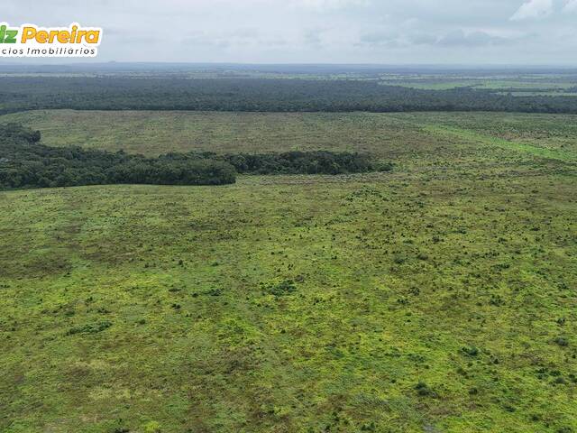 Fazenda para Venda em Piraquê - 5