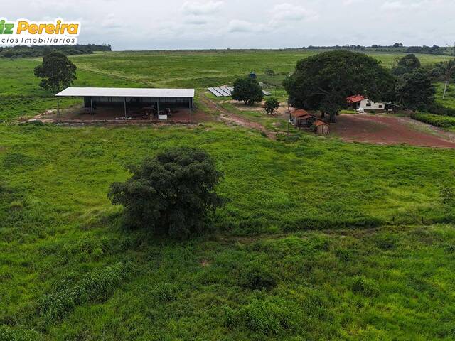 Fazenda para Venda em Piraquê - 4