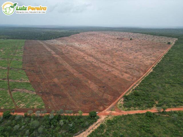 #3192 - Fazenda para Venda em Araguaína - TO