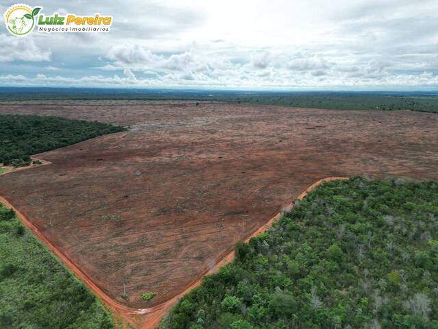 Fazenda para Venda em Araguaína - 2
