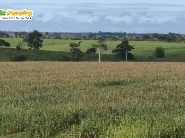 Fazenda para Venda em São Geraldo do Araguaia - 2