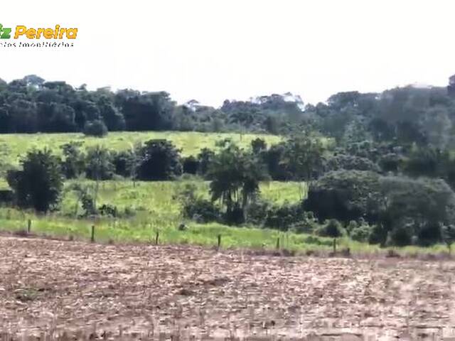 #3286 - Fazenda para Venda em São Geraldo do Araguaia - PA