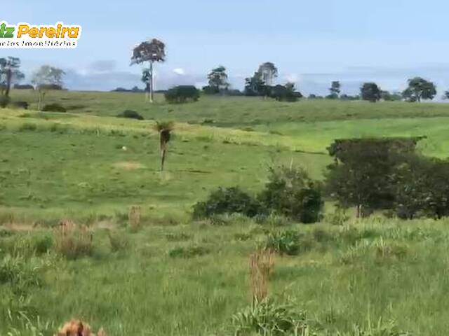 Fazenda para Venda em São Geraldo do Araguaia - 3