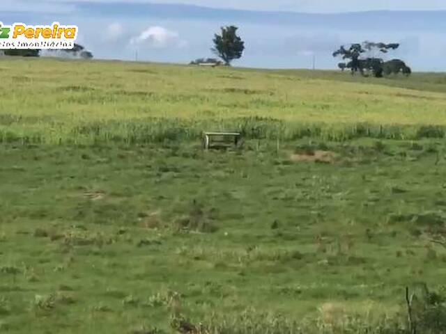 Fazenda para Venda em São Geraldo do Araguaia - 4
