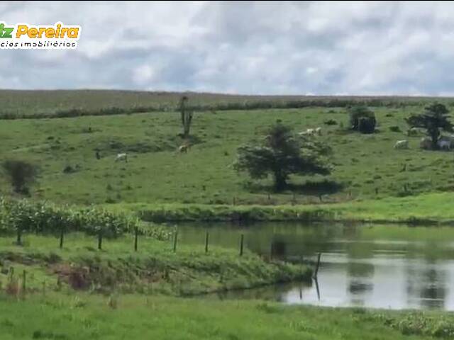 Fazenda para Venda em São Geraldo do Araguaia - 5