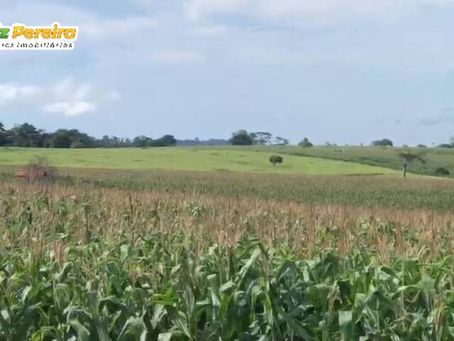 #3286 - Fazenda para Venda em São Geraldo do Araguaia - PA
