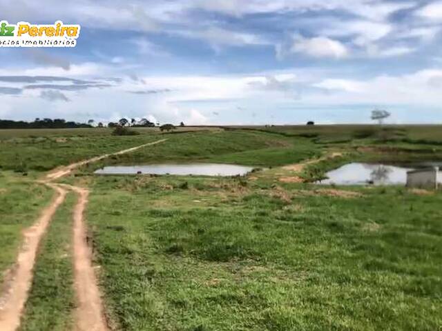 #3286 - Fazenda para Venda em São Geraldo do Araguaia - PA