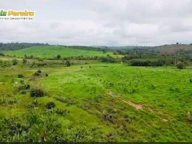 Fazenda para Venda em Itupiranga - 3