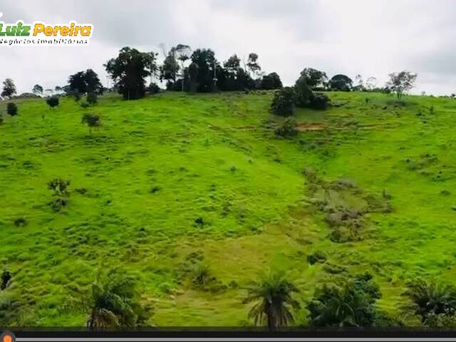 Fazenda para Venda em Itupiranga - 4