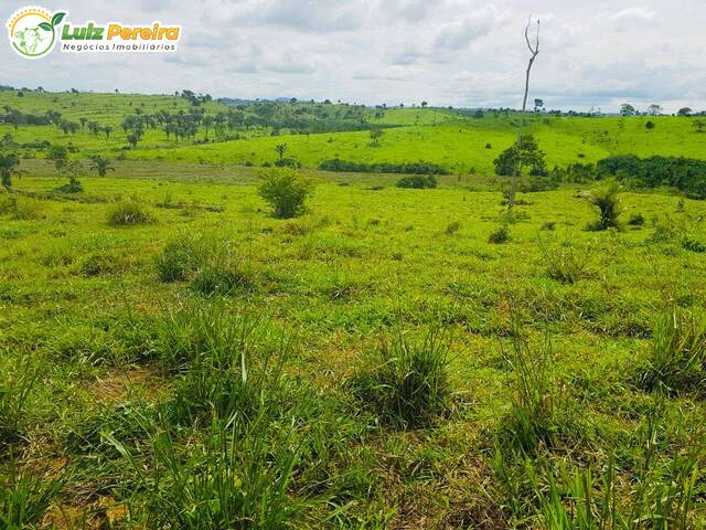 Fazenda para Venda em Itupiranga - 5