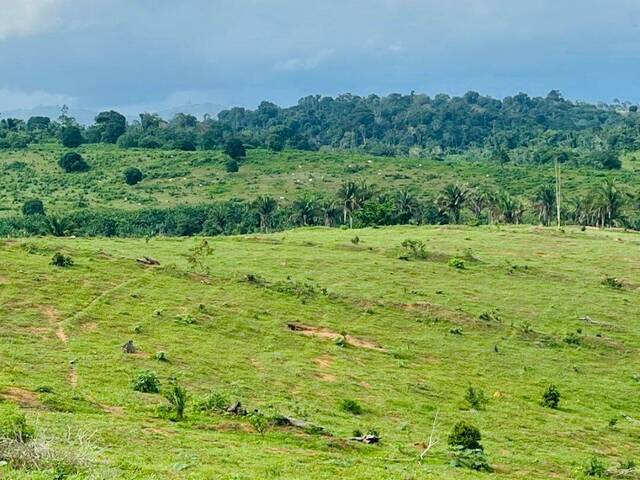 #3287 - Fazenda para Venda em Itupiranga - PA