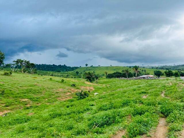Fazenda para Venda em Itupiranga - 2
