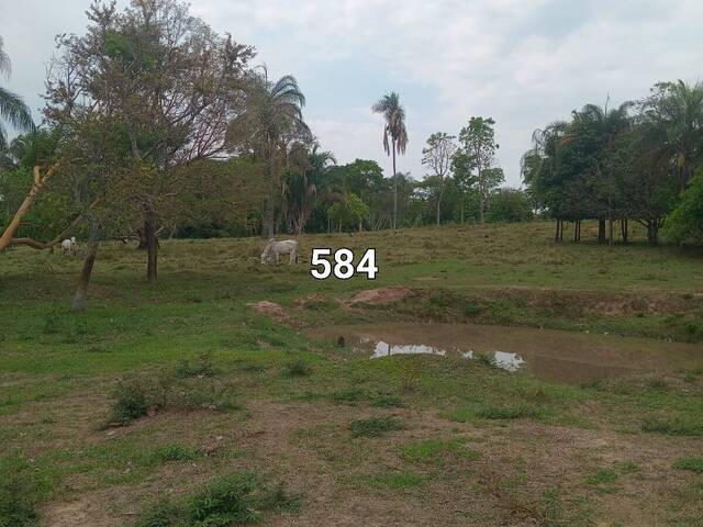 Fazenda para Venda em Alcinópolis - 2