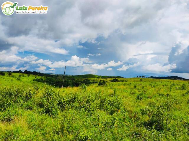 Fazenda para Venda em Jacundá - 4