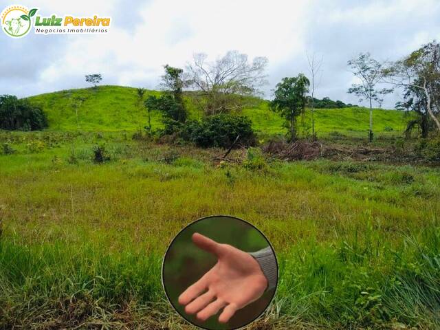 Fazenda para Venda em Jacundá - 3
