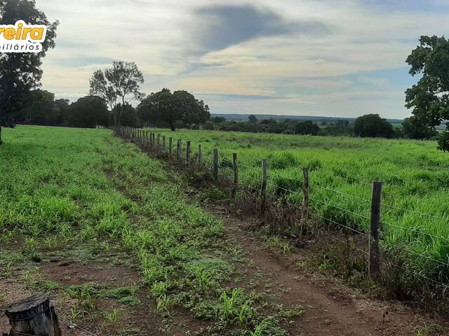 #3210 - Fazenda para Venda em Dueré - TO - 3